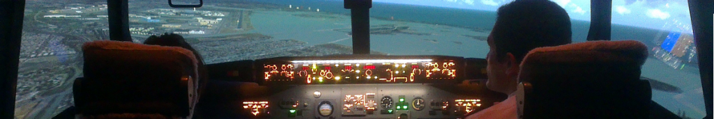 Simulateur de vol contre la peur de l'avion